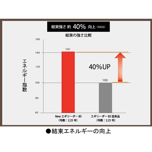 ソルティメイト エギリーダーBS